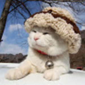 Meet your Posher, Iris